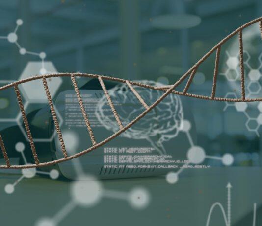 Genetic causes of rare condition linked to hearing loss and infertility found