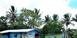 Socks on a mission: researchers turn feet into soil detectives to uncover hidden pathogens