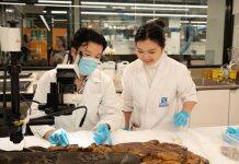 Cultural conservation centre to become part of world-leading research institute