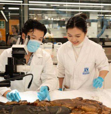 Cultural conservation centre to become part of world-leading research institute
