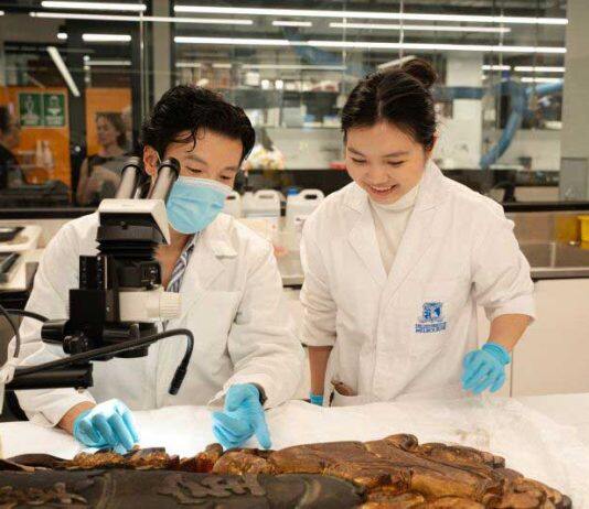 Cultural conservation centre to become part of world-leading research institute