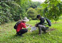 Non-invasive study finds new high-potential geothermal energy site in Yishun