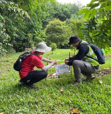 Non-invasive study finds new high-potential geothermal energy site in Yishun