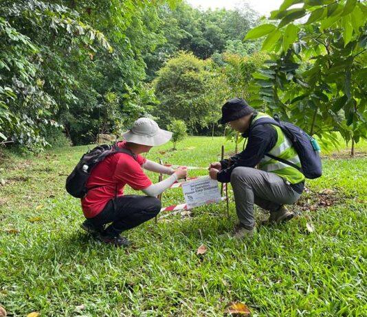 Non-invasive study finds new high-potential geothermal energy site in Yishun