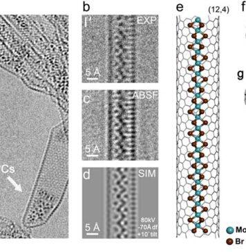 The power of confinement: How tiny nanotubes can squeeze new materials into being
