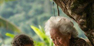 Age-related declines are a consequence of knowing more, not less, says Warwick study