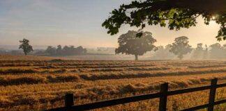 Research reveals even cool, wet Northern Ireland is feeling strain of climate change