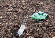 Compostable sensors could help grow impact of digital