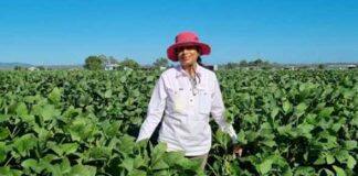 Building soil carbon with beneficial microbes