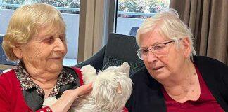 The power of pets in reducing loneliness and social isolation for at-risk groups
