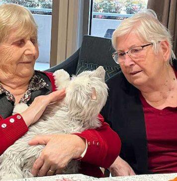 The power of pets in reducing loneliness and social isolation for at-risk groups