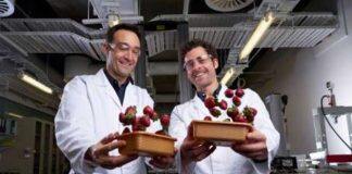 Berries just the beginning for bioplastic breakthrough