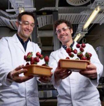 Berries just the beginning for bioplastic breakthrough