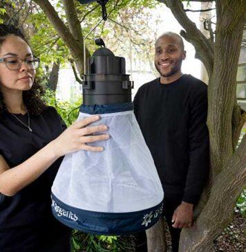 Citizen science project receives reports of mosquitoes from all across Scotland