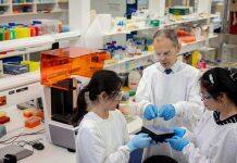 Synthetic skin tech transforms wound repair