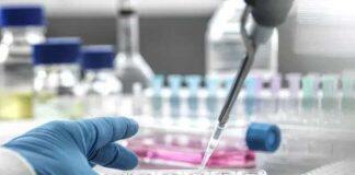 Molecule find could pave way for new MND drugs