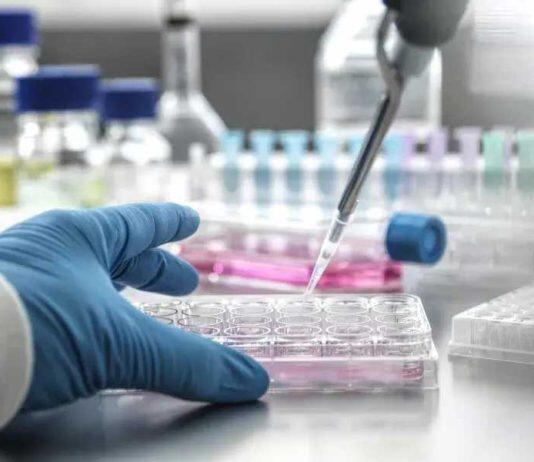 Molecule find could pave way for new MND drugs