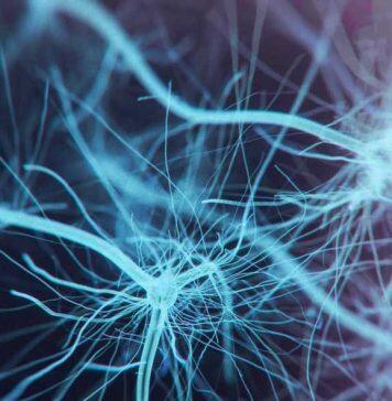 University spinout company awarded £2.3 million to develop breakthrough therapies that address underlying causes of MND