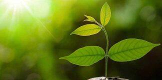 Expert panel explores Australia-China sustainable finance collaboration