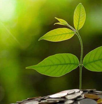 Expert panel explores Australia-China sustainable finance collaboration