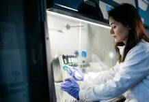 University of Birmingham rises again in global rankings