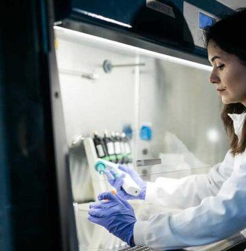 University of Birmingham rises again in global rankings