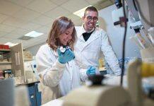 Northern Gritstone invests in Manchester spinout Apini