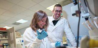 Northern Gritstone invests in Manchester spinout Apini