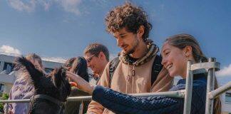 DeStresstival supports over 2,000 Warwick students through exam season