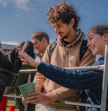 DeStresstival supports over 2,000 Warwick students through exam season