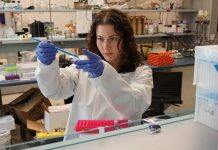 Bacterial fingerprints in soil show where copper is buried