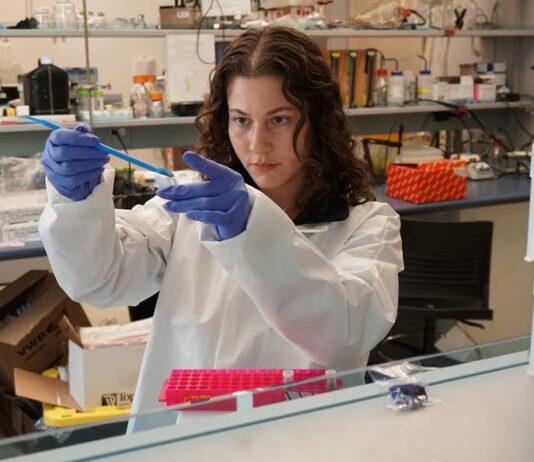 Bacterial fingerprints in soil show where copper is buried