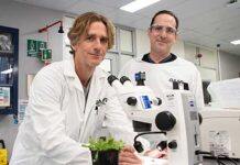 Maxing out chemical-free crop protection with dsRNAmax