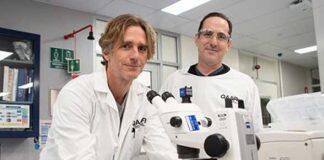 Maxing out chemical-free crop protection with dsRNAmax