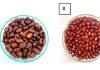 Legumes lost to heat: storage failures costing farmers and processors: study