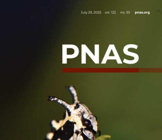 New evidence static electricity sense could be a factor in evolution of extreme body shapes of treehoppers