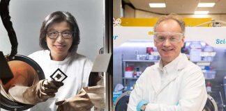 Sydney academics win prestigious Eureka Prizes for Science