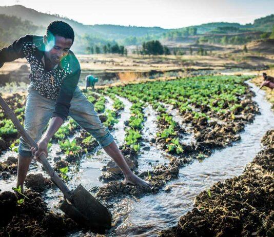 University of Manchester awarded £3m to transform irrigation monitoring in Sub-Saharan Africa