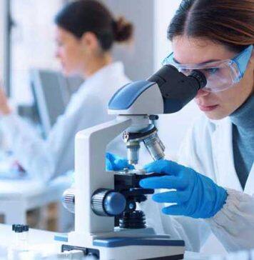 Research Quality powers Exeter rise in global league table