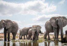 Comprehensive update to global biodiversity hotspots project begins