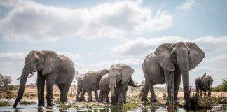 Comprehensive update to global biodiversity hotspots project begins