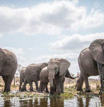 Comprehensive update to global biodiversity hotspots project begins