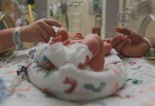 Study shows world-first Australian preterm birth prevention program is working