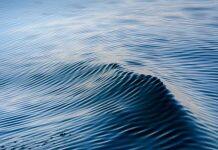 Miniscule wave machine opens big scientific doors