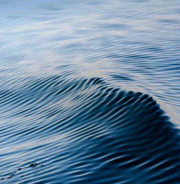 Miniscule wave machine opens big scientific doors