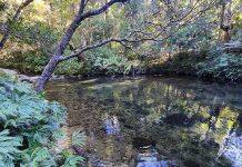 How the myth of ‘aqua nullius’ still guides Australia’s approach to groundwater