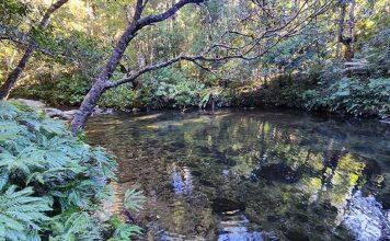 How the myth of ‘aqua nullius’ still guides Australia’s approach to groundwater