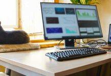 Why flexible work alone isn’t enough: preferences matter more than policy