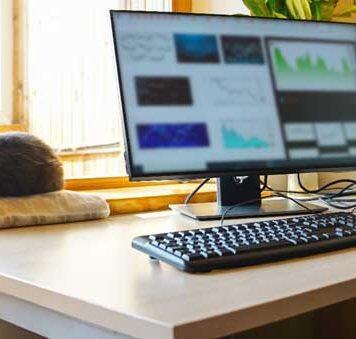 Why flexible work alone isn’t enough: preferences matter more than policy