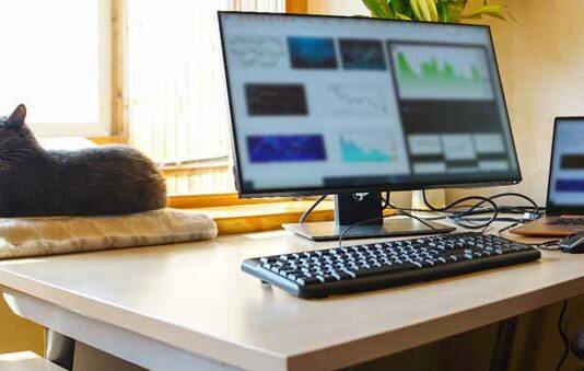 Why flexible work alone isn’t enough: preferences matter more than policy